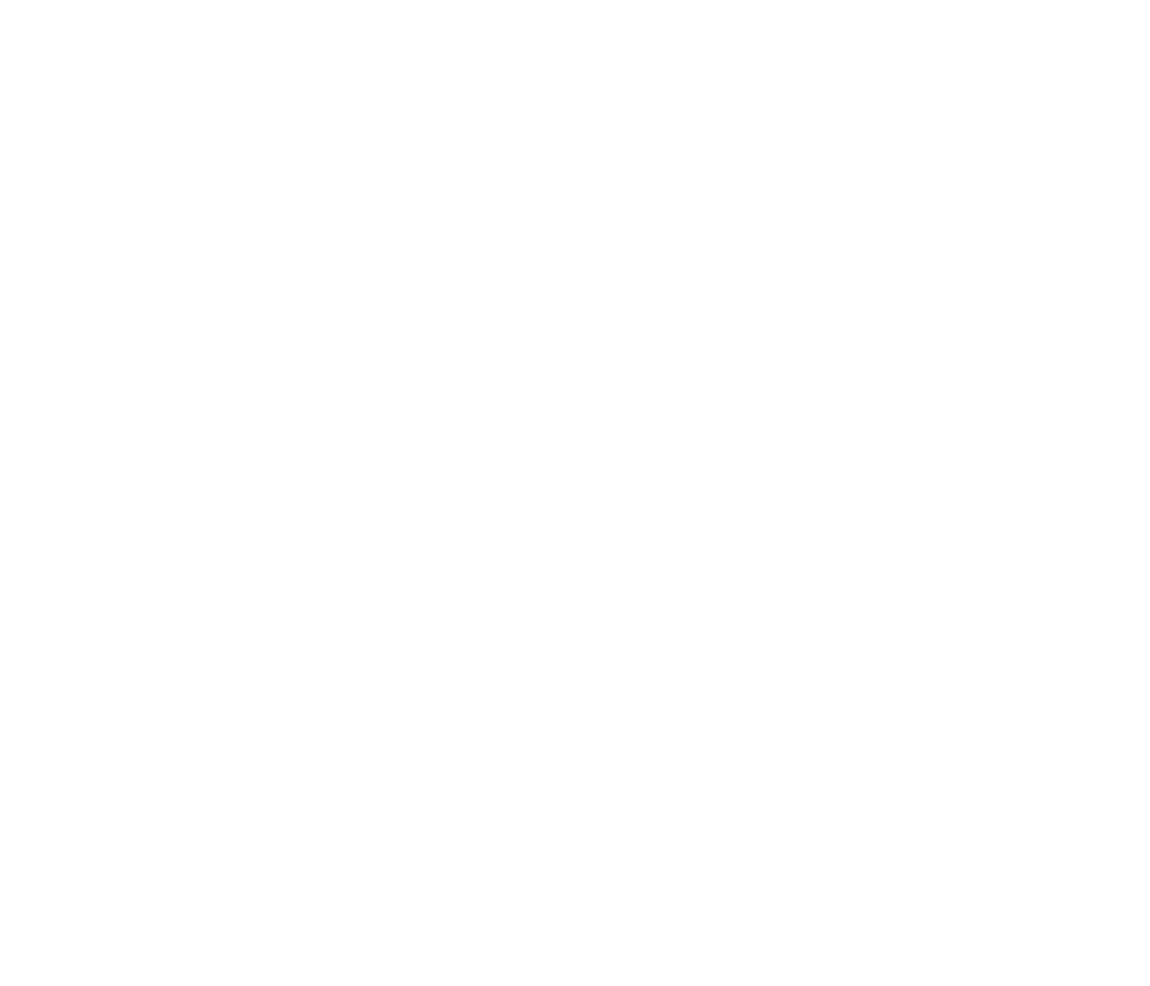 nami transparent